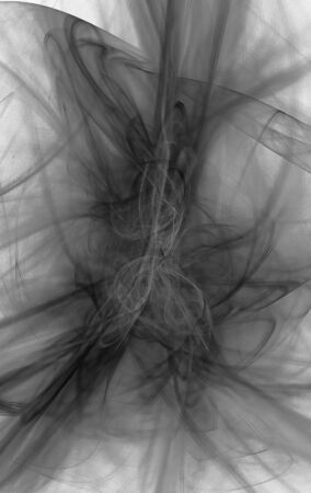 Beatiful black&white fractalの写真素材