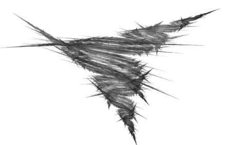 Beatiful black&white fractalの写真素材
