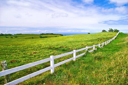 Landscape of Big Island. Hawaii. USAの写真素材