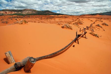 In the Coral Pink Sand Dune National park. Utah. USAの写真素材