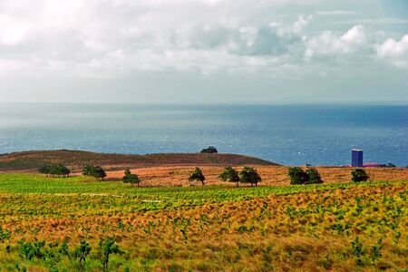 Landscape of Big Island. Hawaii. USAの写真素材