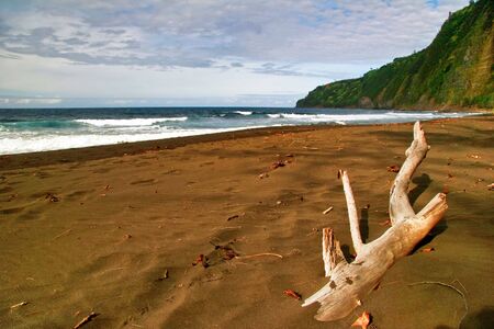 Lonely beach on the Big Island. Hawaii. USAの写真素材