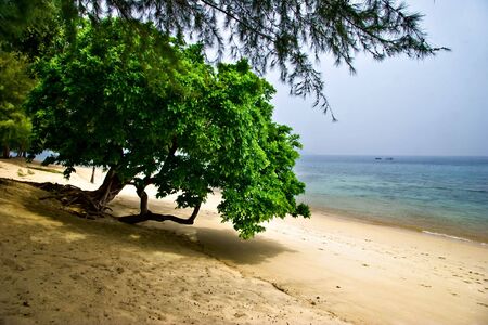 Foggy tropical beach. Tioman island. Malaysiaの写真素材