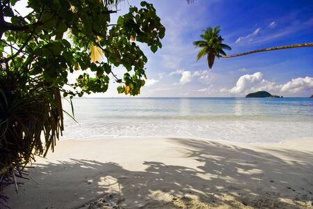 On the tropical beach. Siam bay. Province Trat. Koh Mak island. Kingdom Thailandの写真素材