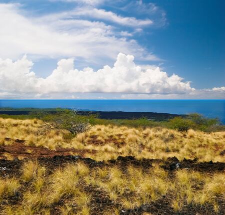 Landscape of Big Island. Hawaii. USA 