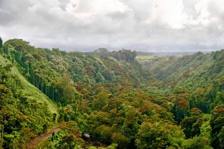 Mounts and jungle in foggy weather. Big island. Hawaii. USA の写真素材