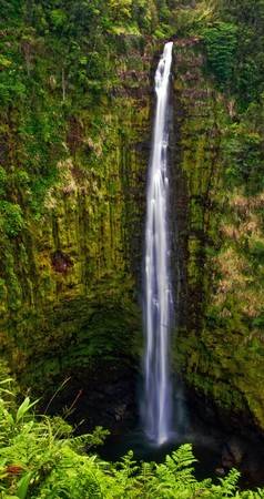 Waterfall in the jungle. Big island. Hawaii の写真素材