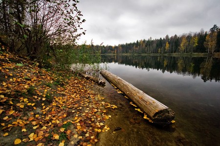 Autumn Lake in gloomy cold weather の写真素材