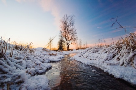 Evening in the winter field near the river の写真素材