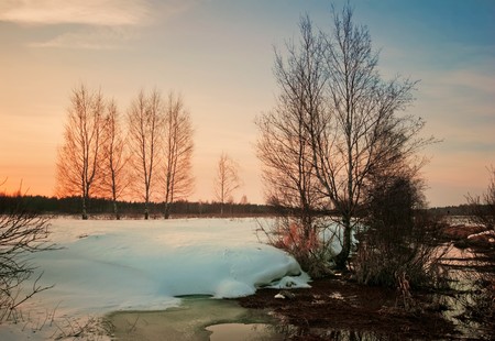 sunset in winter field. の写真素材
