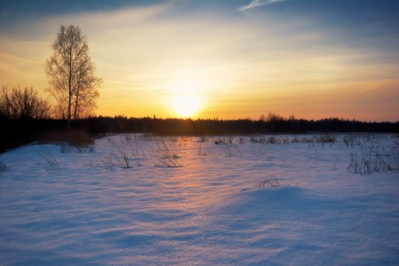 sunset in winter field. の写真素材