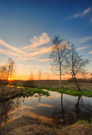 Sunset in summer field near the small creek の写真素材