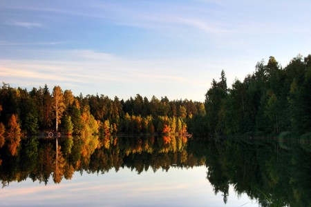 Sunny autumnal forest near the lakeの写真素材