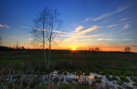 Evening in the summer field near the lakeの写真素材