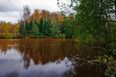 Autumn Lake in gloomy cold weather の写真素材