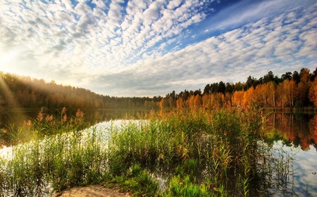 Sunny autumnal forest near the lakeの写真素材
