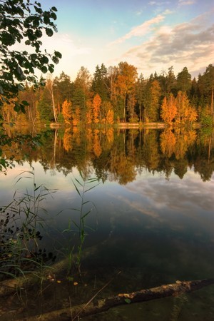 Sunny autumnal forest near the lakeの写真素材