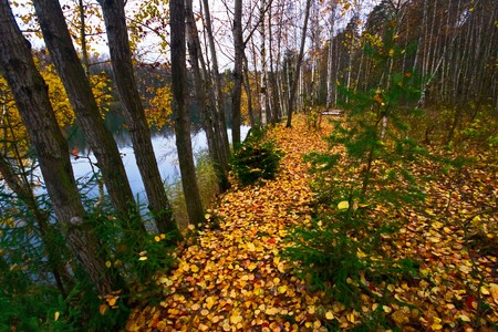 Autumn Lake in gloomy cold weather の写真素材