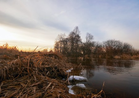 Autumn Lake in gloomy cold weather の写真素材