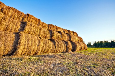 Bales of straw stacked under blue sky の写真素材