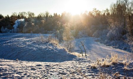 winter landscape with sun rays の写真素材