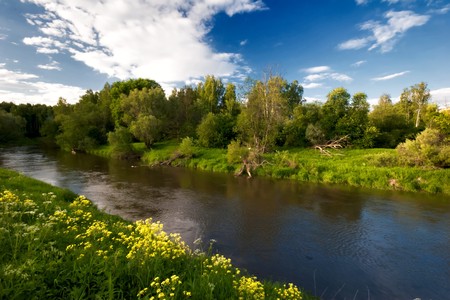 Summer river under blue sky 