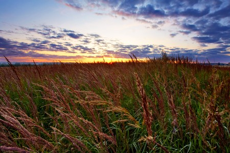 Misty sunset in the field の写真素材