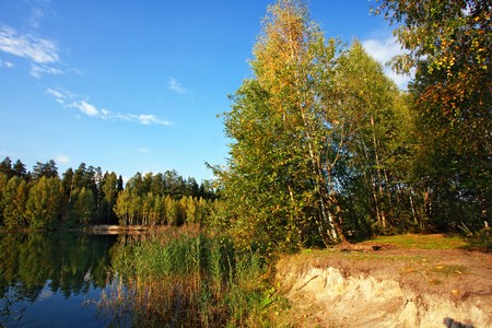 near the autumnal lake の写真素材
