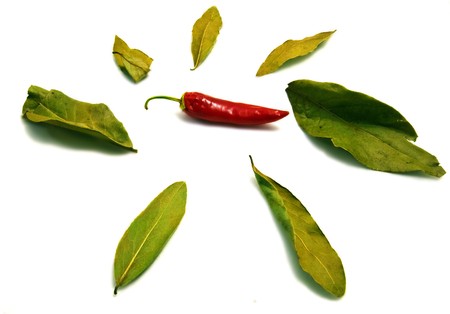 Fresh chilli and Bay leafs isolated on white 