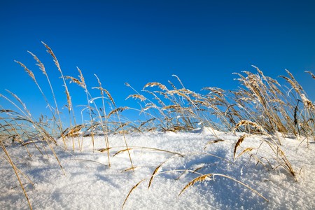 Winter landscape on blue sky background の写真素材