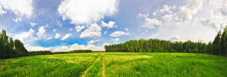 Stitched Panorama of green summer field の写真素材