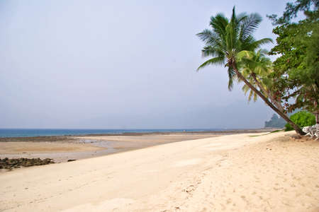 Foggy tropical beach. Tioman island. Malaysia の写真素材