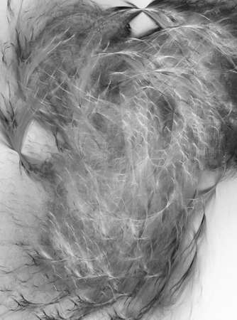 Abstract digital fractal background の写真素材