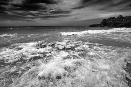 tropical beach under gloomy sky 