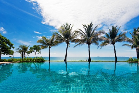 reflections of palms in the poolの写真素材