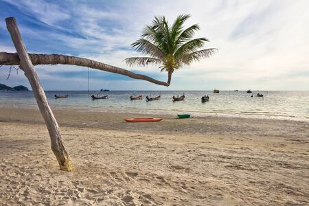 Exotic tropical beach. Thailand の写真素材