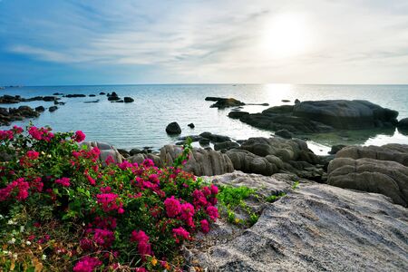 gloomy weather at tropical beachの写真素材