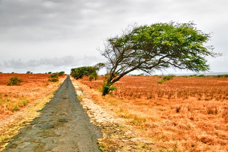Landscape of Big Island in gloomy weather. Hawaii. USA の写真素材