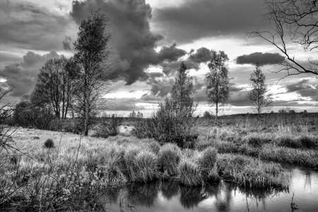 Coloful sunset in summer field の写真素材