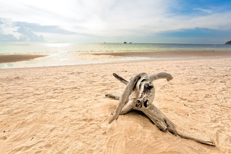 Exotic tropical beach under blue sky. Thailand の写真素材