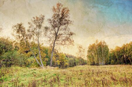 Summer field under sky in grunge and retro style の写真素材