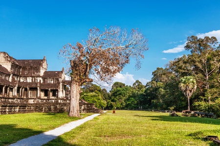 Angkor Wat Temple, Siem reap, Cambodia. の写真素材