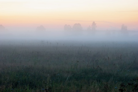 Foggy sunset in summer field  の写真素材