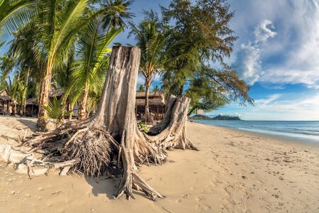 Beautiful tropical beach with  sea view, clean water   blue sky  Nature backgroundの写真素材