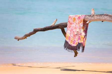 red cloth on an old tree trunk on the beachの写真素材