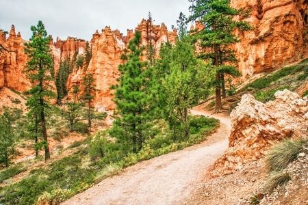 Slopes of Bryce Canyon  Utah  USA の写真素材