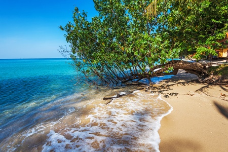 Beautiful tropical beach with  sea view, clean water   blue sky  Nature backgroundの写真素材