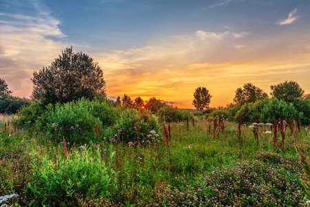 Landscape with coloful sunset in summer field with flowersの写真素材