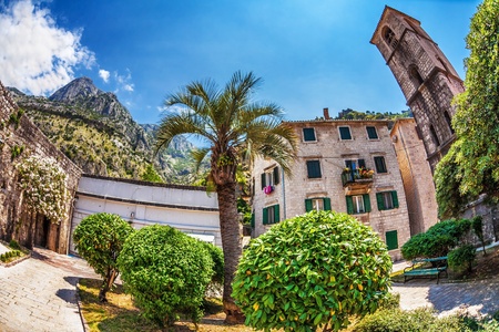 Fish-eye lens look of the old city on sky background  Kotor  Montenegro