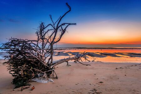 Tropical beach at beautiful sunset  Nature background の写真素材